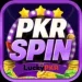 PKRSpin