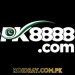PK8888-Game