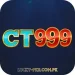 CT999-icon